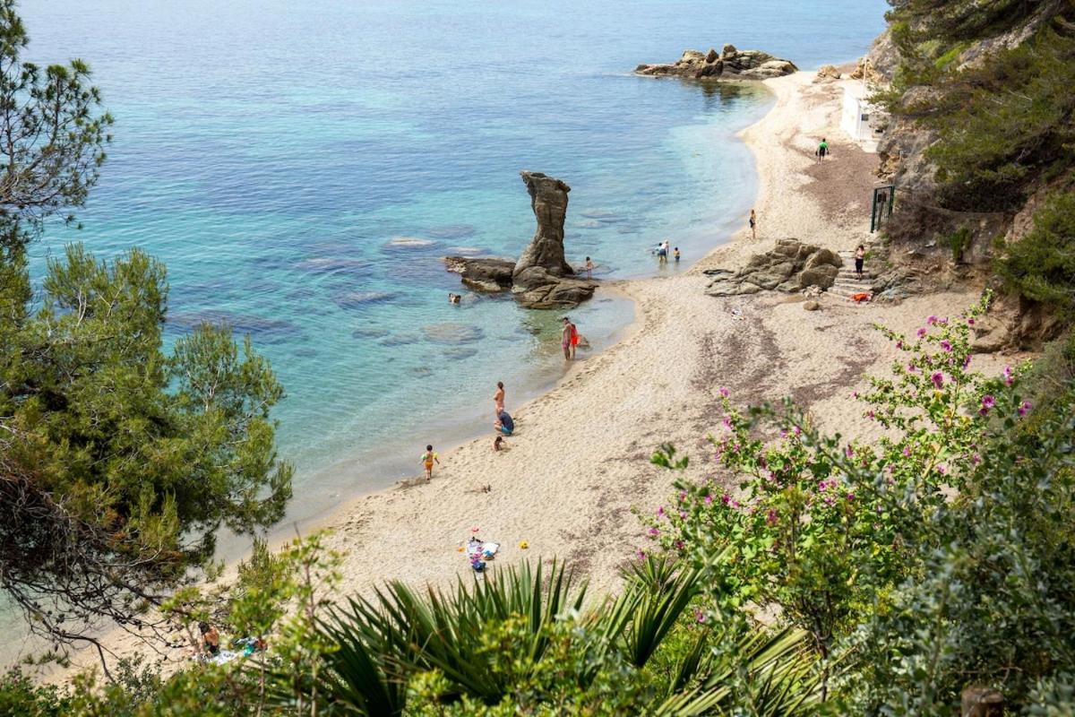 Le Mourillon Grand Proche Des Plages Toulon