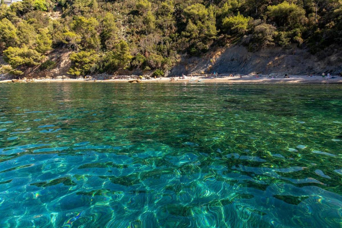 Le Mourillon Grand Proche Des Plages Toulon