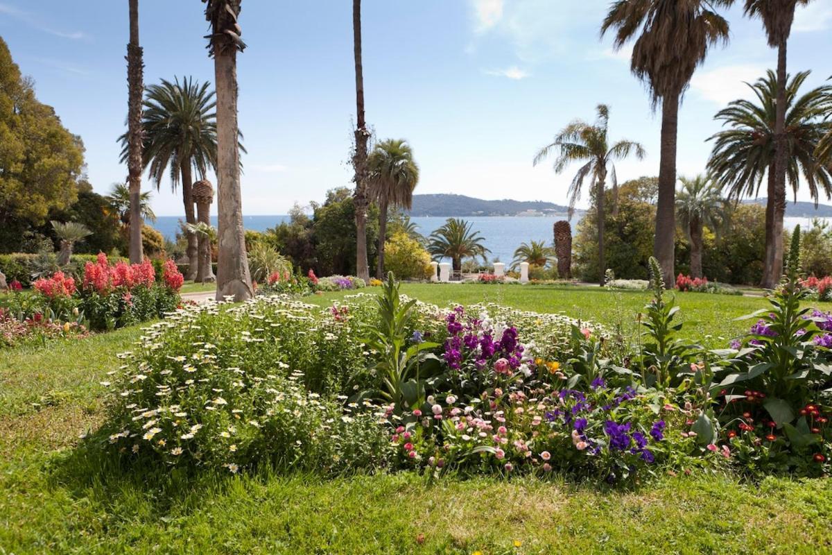 Le Mourillon Grand Proche Des Plages Appartement *